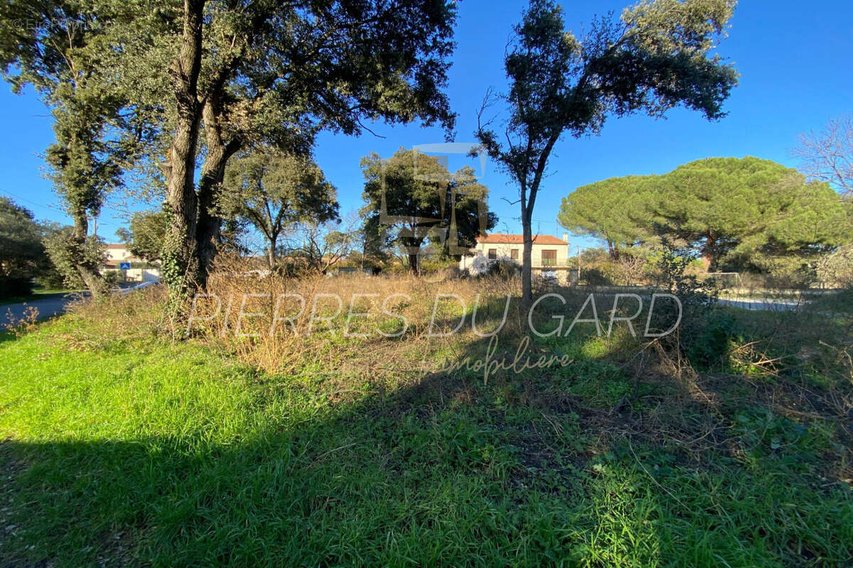 Terrain à SAINT-QUENTIN-LA-POTERIE