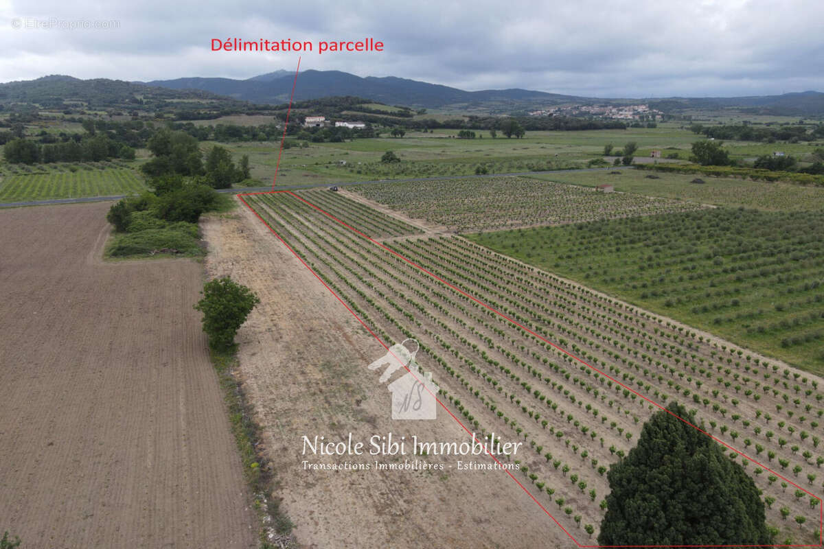 Terrain à ESTAGEL