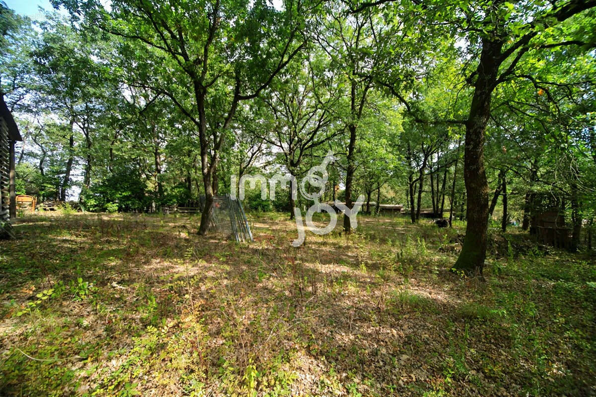 Caujac, environnement magnifique, petite maison de plain-pied au milieu de 3 hectares - photo 15