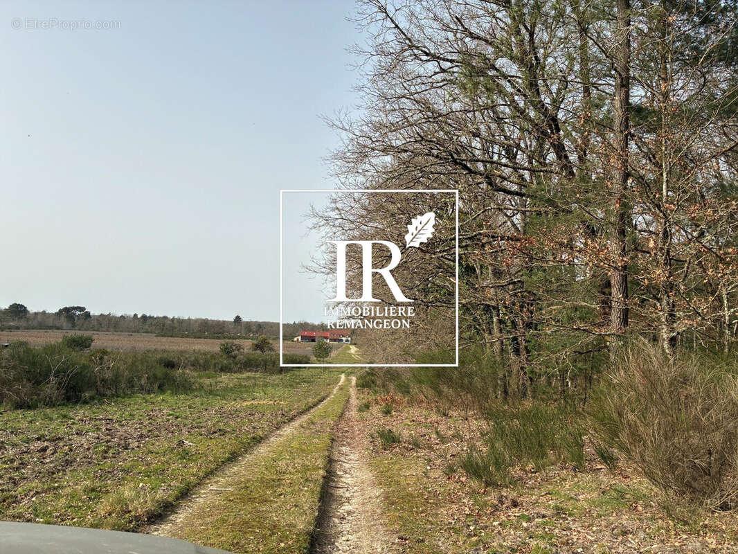 Maison 230 m² à Lamotte-Beuvron  - photo 6