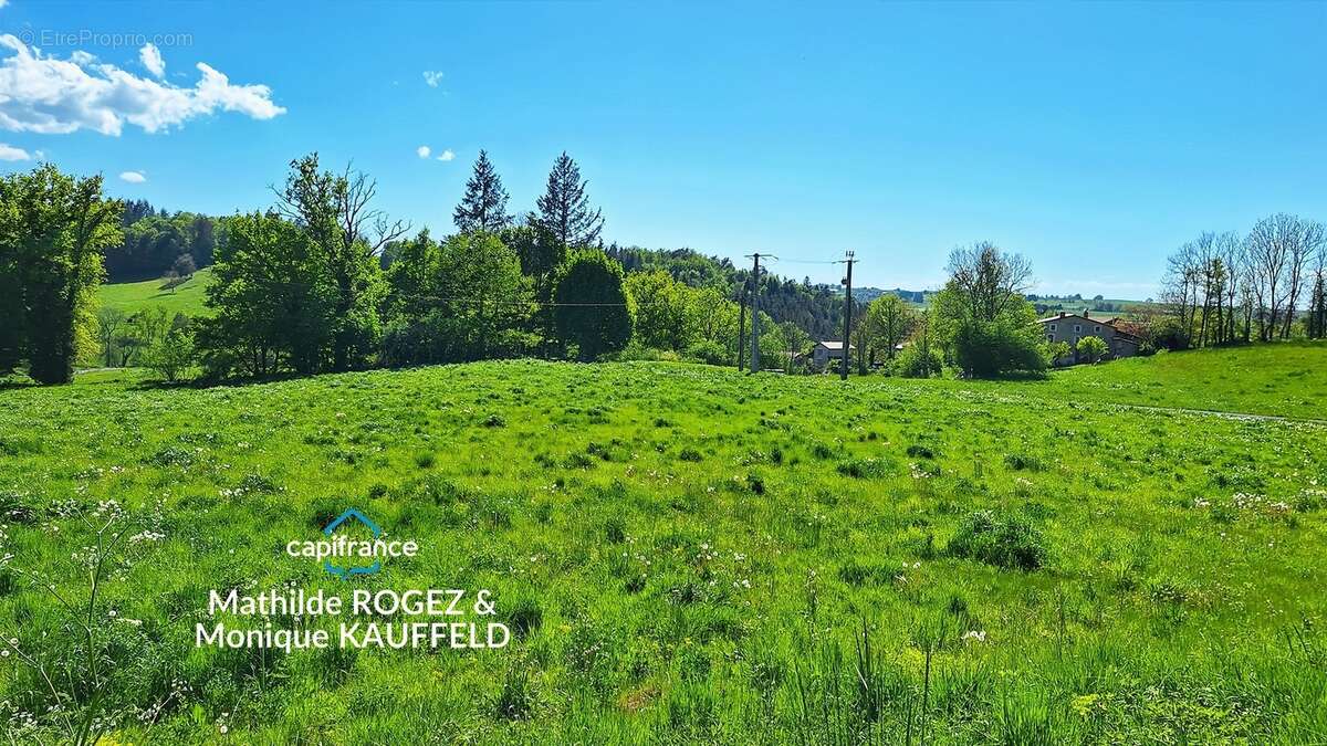 Maison 97 m² + 2ème maison à rénover – 6000 m² terrain – Saint-Gervais-sous-Meymont - photo 28