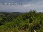 Photo 1 - Terrain à DUCOS