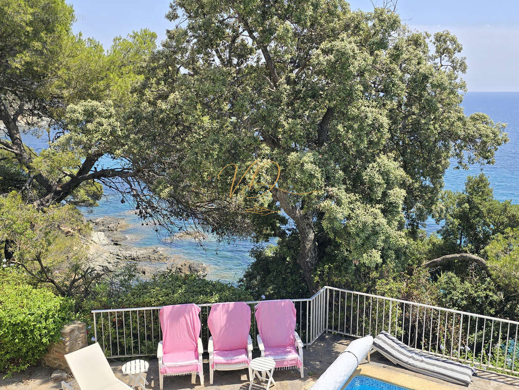 Pieds dans l eau proche de gigaro plages ! - photo 10