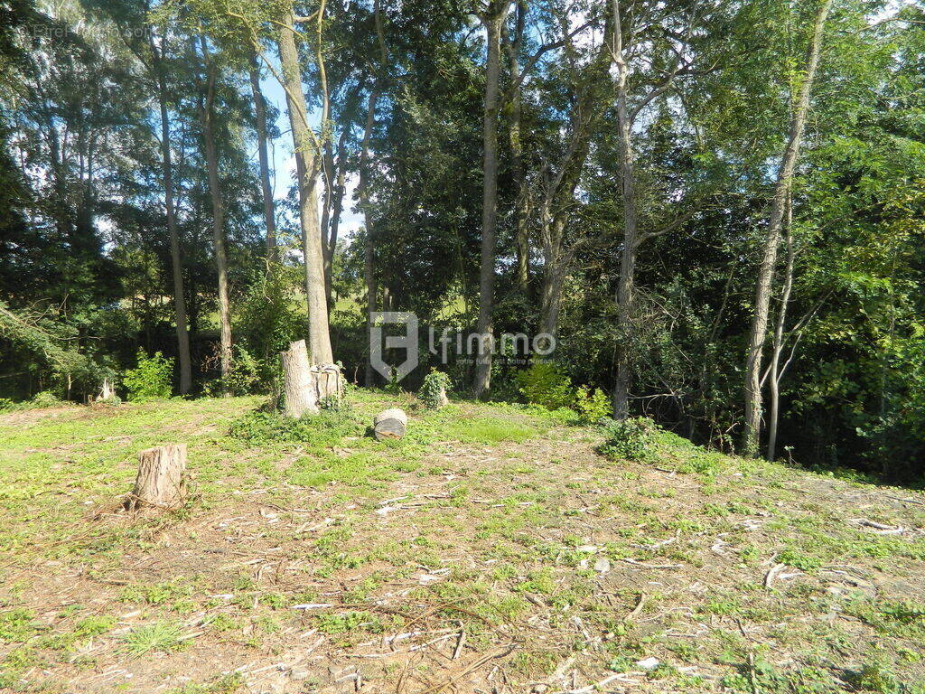 Terrain à NEUILLY-SAINT-FRONT