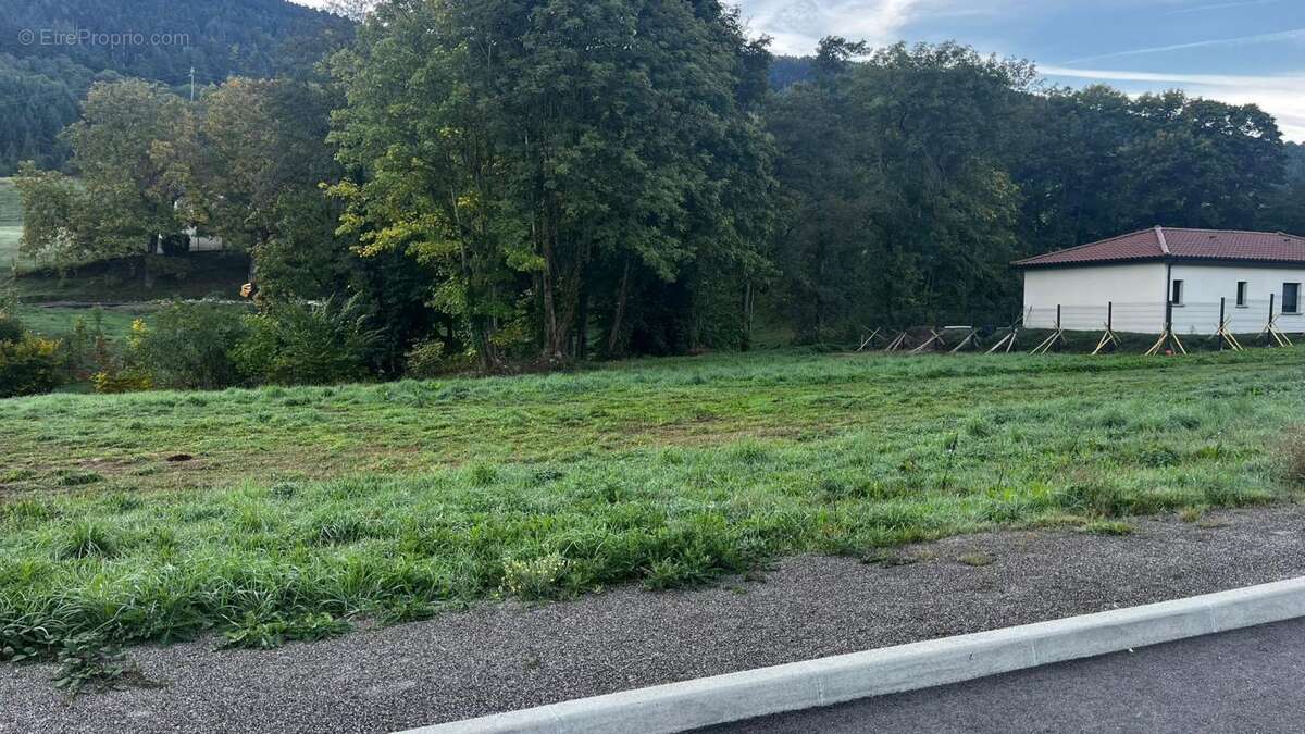 Terrain à BOURG-ARGENTAL