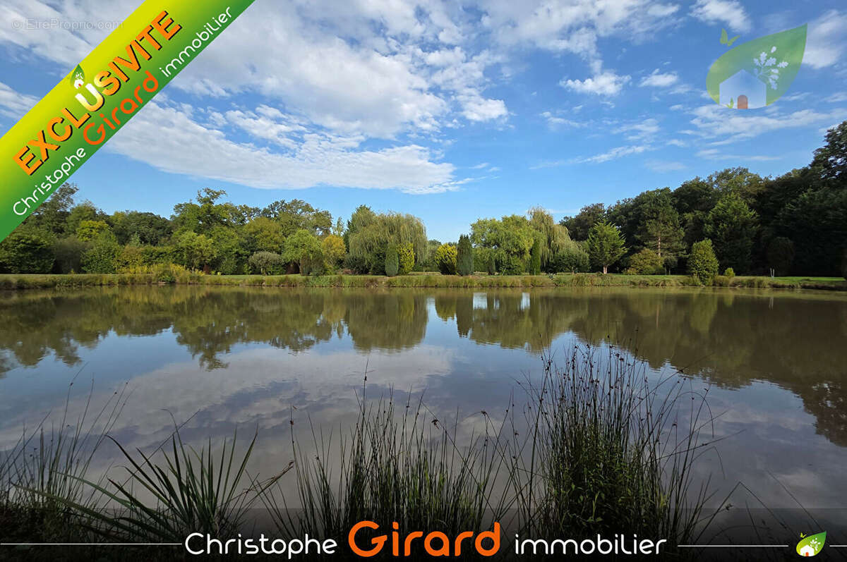 Terrain à SAINT-JUDOCE