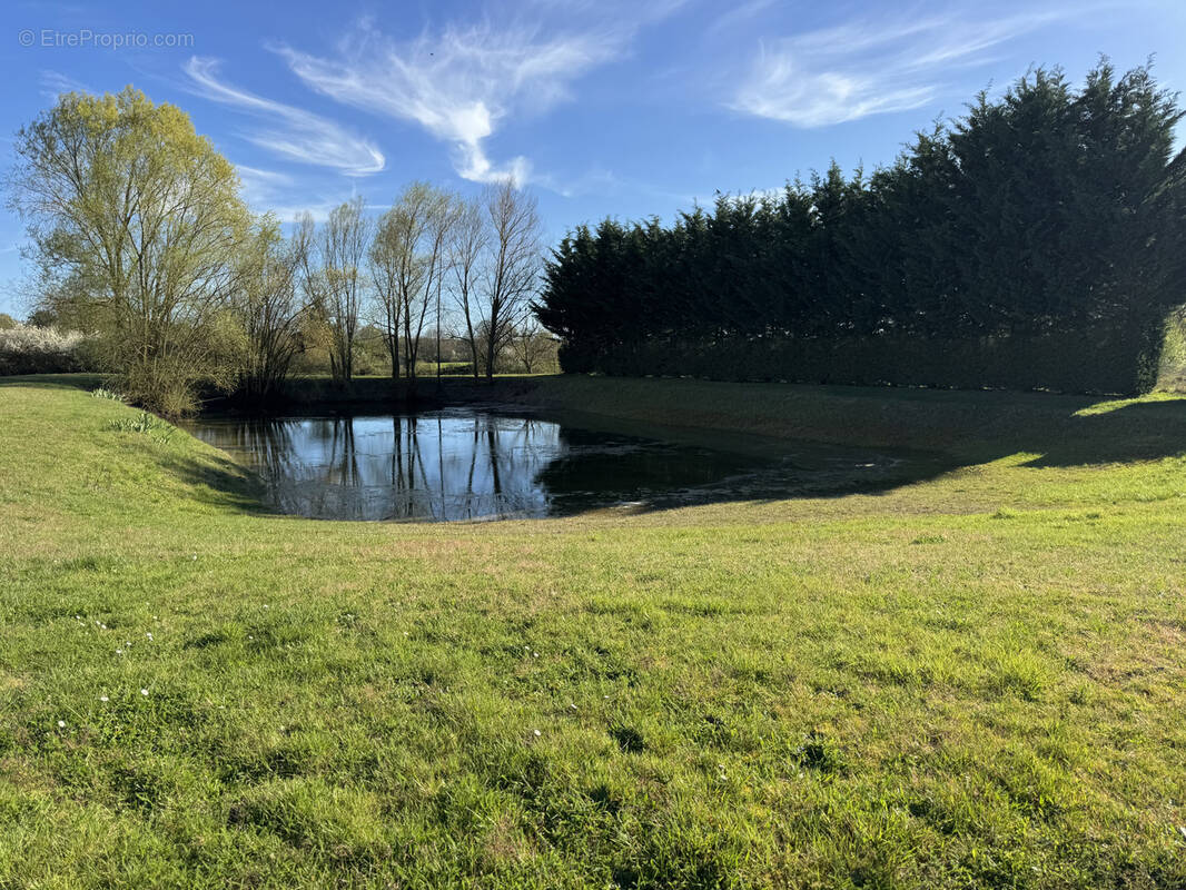 Terrain à THIMORY