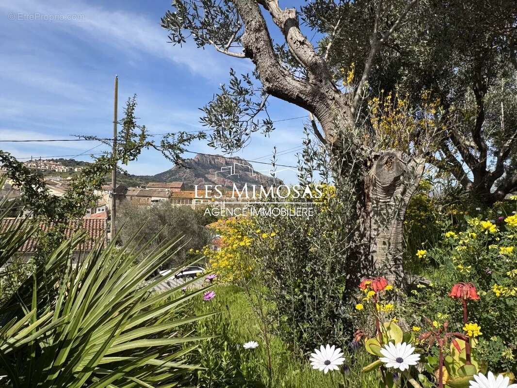 Maison à ROQUEBRUNE-SUR-ARGENS