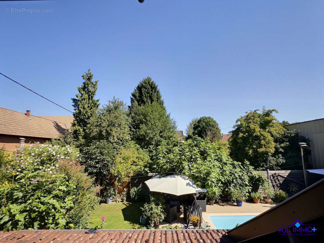 Maison 354 m² à Olwisheim  - photo 4