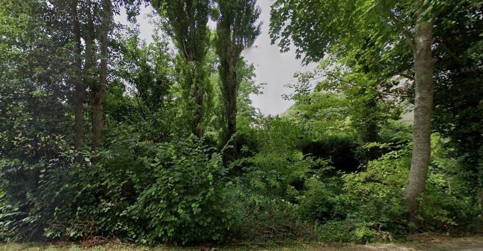 Terrain à MAREIL-LE-GUYON