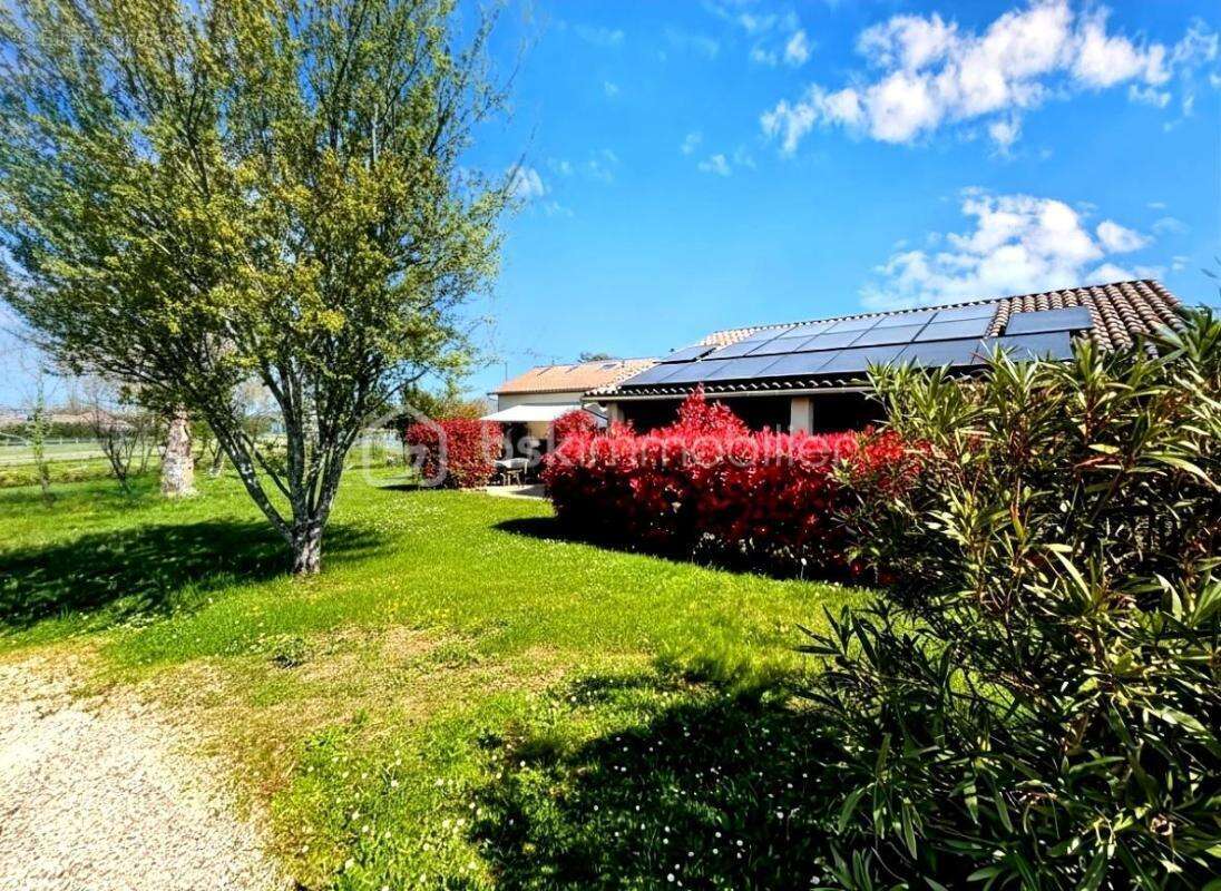 Belle propriété familiale  – DPE C –  Maubourguet / Lembeye - photo 2