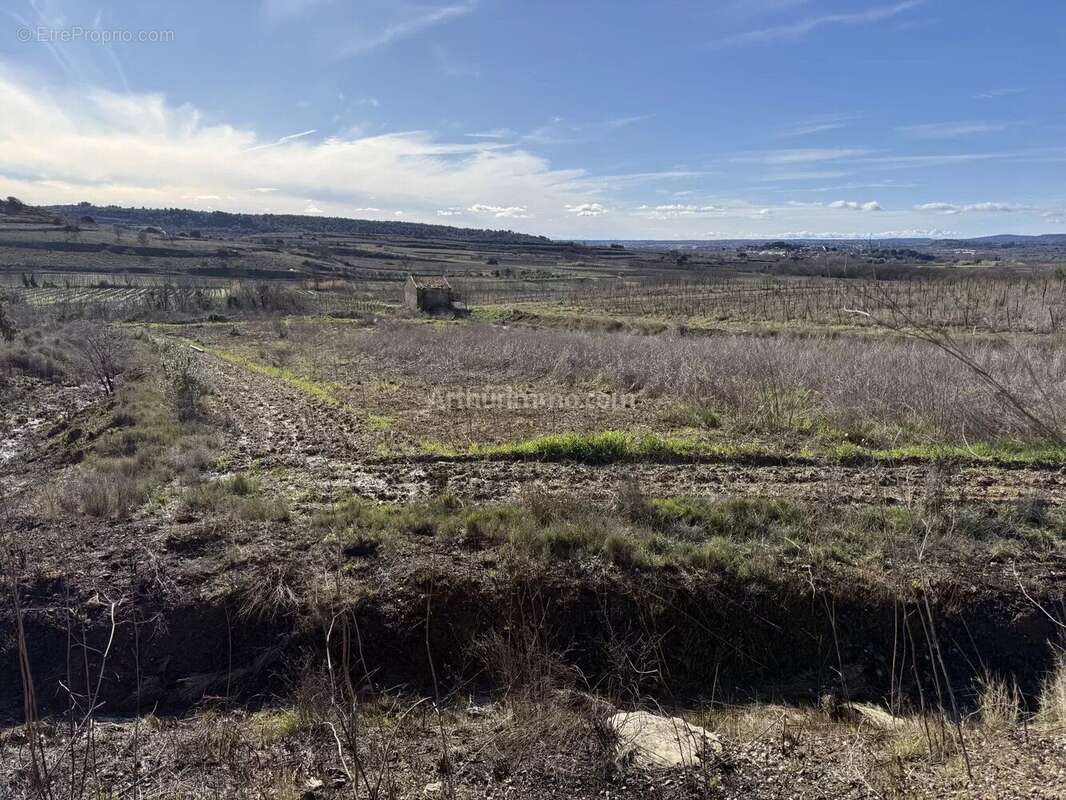 Terrain à PLAISSAN