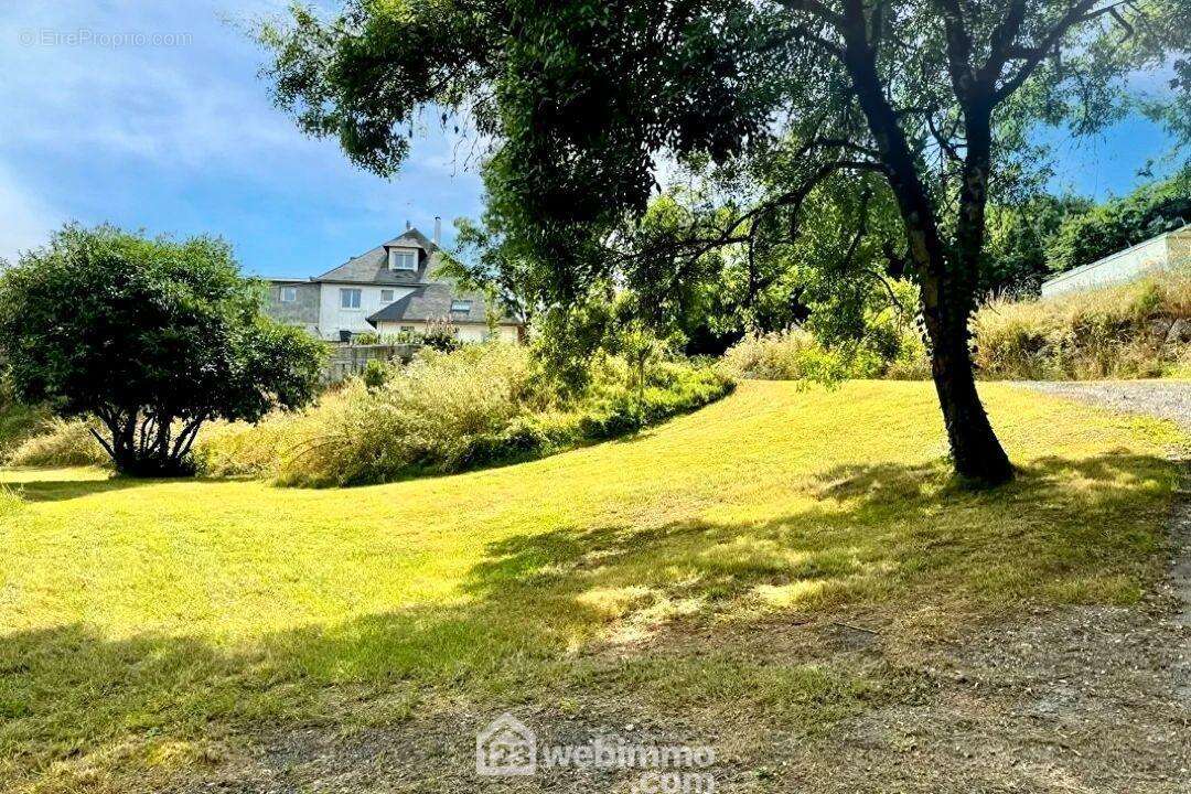 Jardin arborés - Maison à CHALONNES-SUR-LOIRE