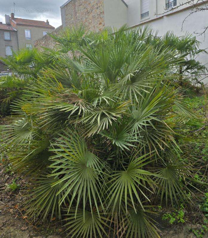 Appartement à VICHY