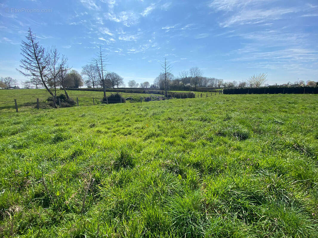 Terrain à SAINT-LEGER-LES-PARAY