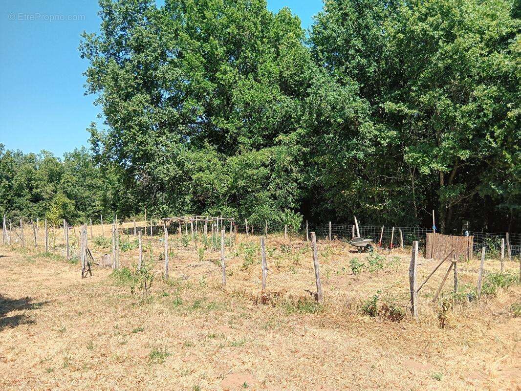 Corps de ferme quercynois avec piscine sur 3 hectares de bois et prairies - photo 18