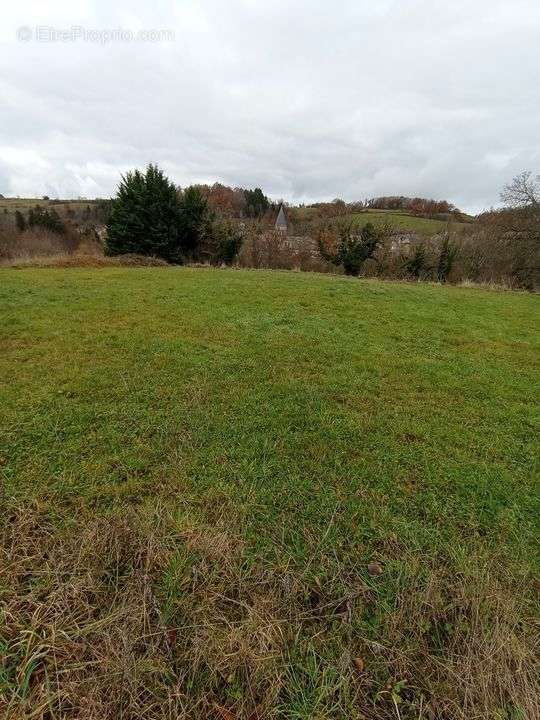 Terrain à FERRIERES-SUR-SICHON