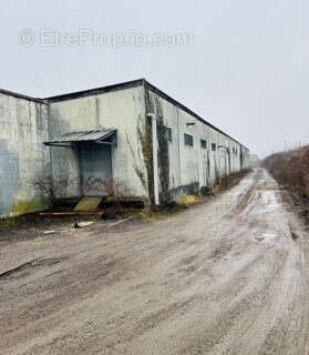 Commerce à ARS-SUR-MOSELLE