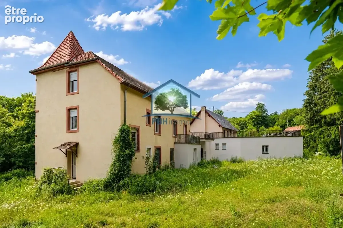 OTTERSTHAL (67) - Propriété 21 pièces 787m²  sur 50,95 ares - photo 4
