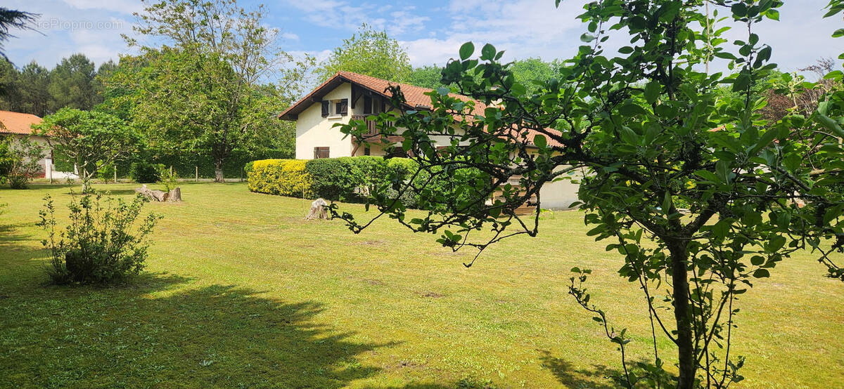 Maison à TALLER