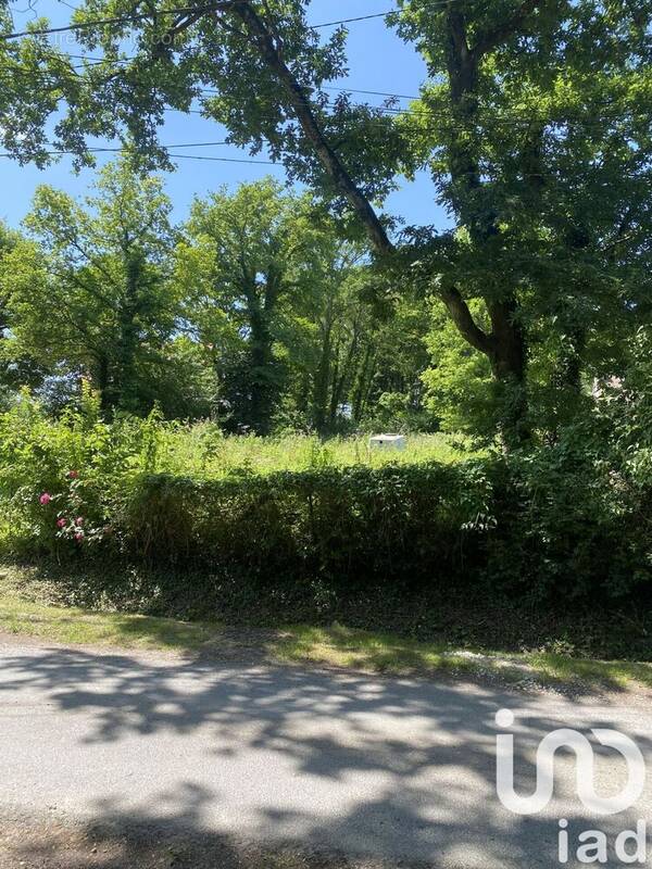 Photo 1 - Terrain à TIGEAUX