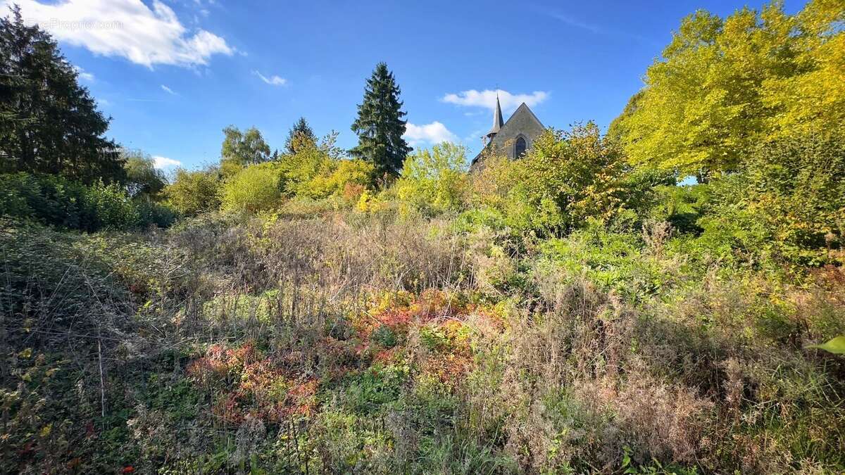 Maison à SAINT-MARIEN