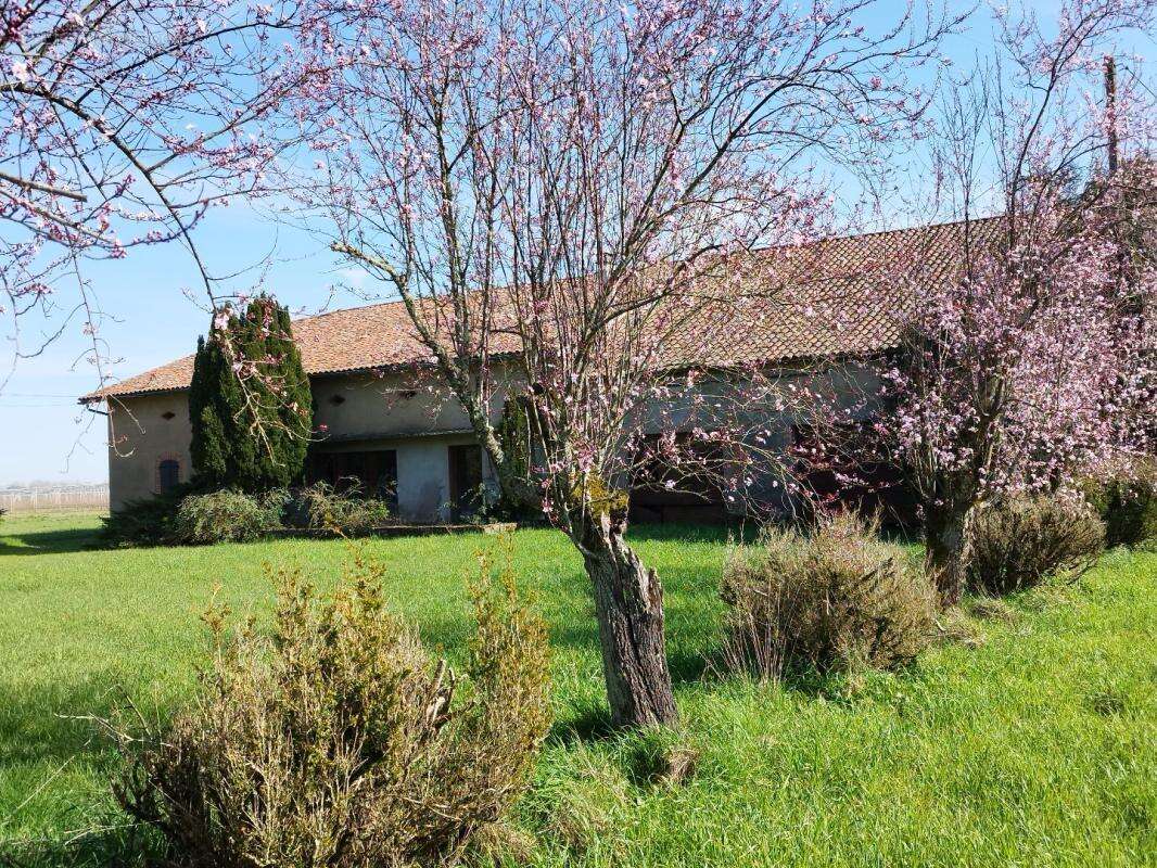 Maison à MONTAUBAN