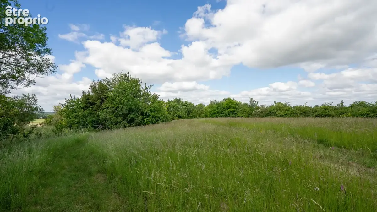 Propriété équestre de caractère avec 5 hectares, piscine couverte et dépendances - photo 29