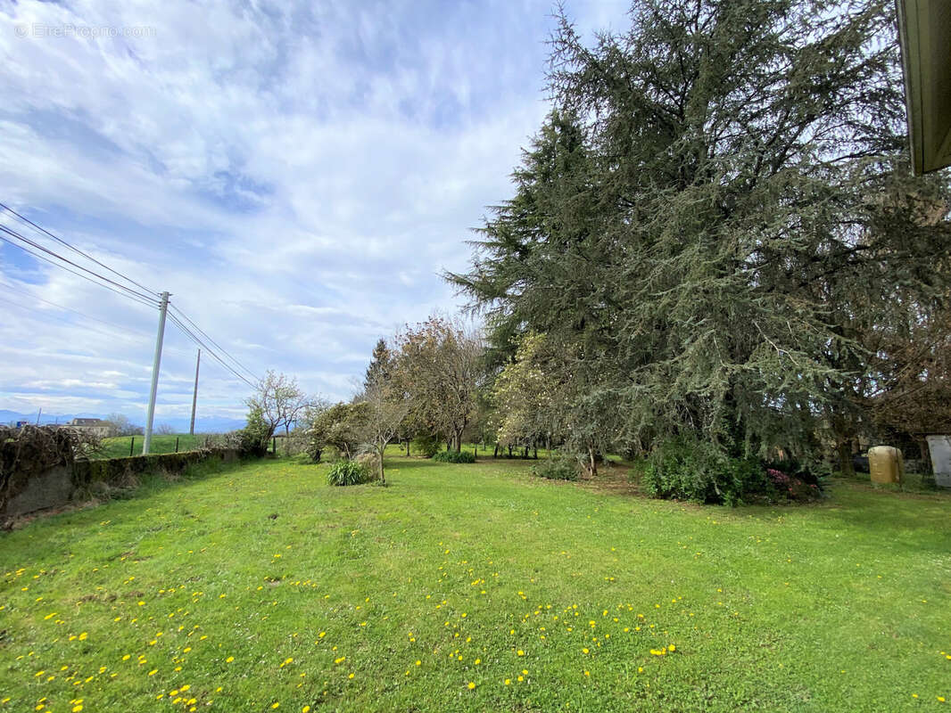 Maison à LUCQ-DE-BEARN