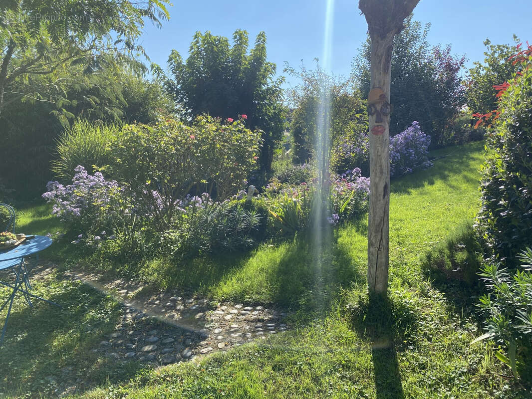 Maison à VILLEFARGEAU