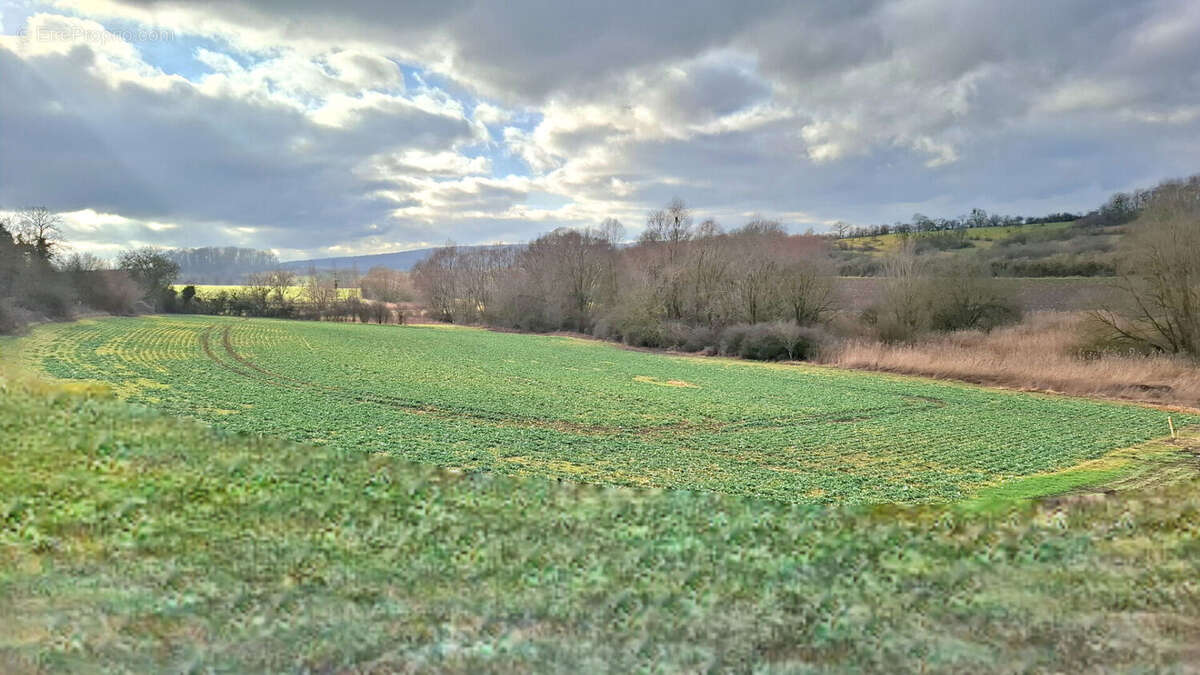 Terrain à FERRIERES