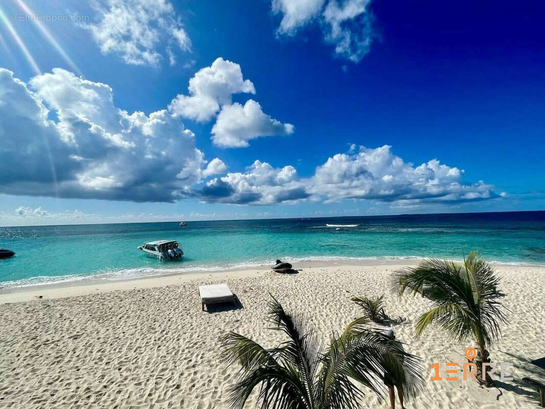 Autre à SAINT-MARTIN