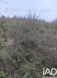 Photo 5 - Terrain à CARAMANY