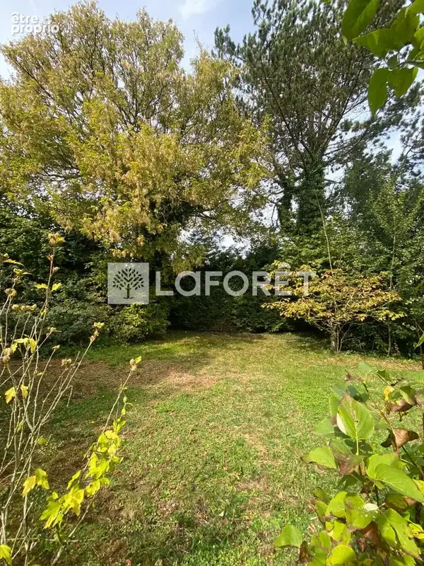 A 10 minutes d'hesdin - photo 17