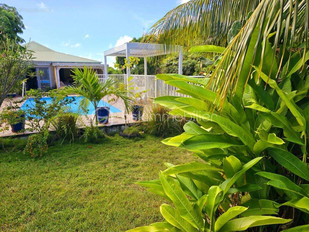 Maison à SAINT-FRANCOIS