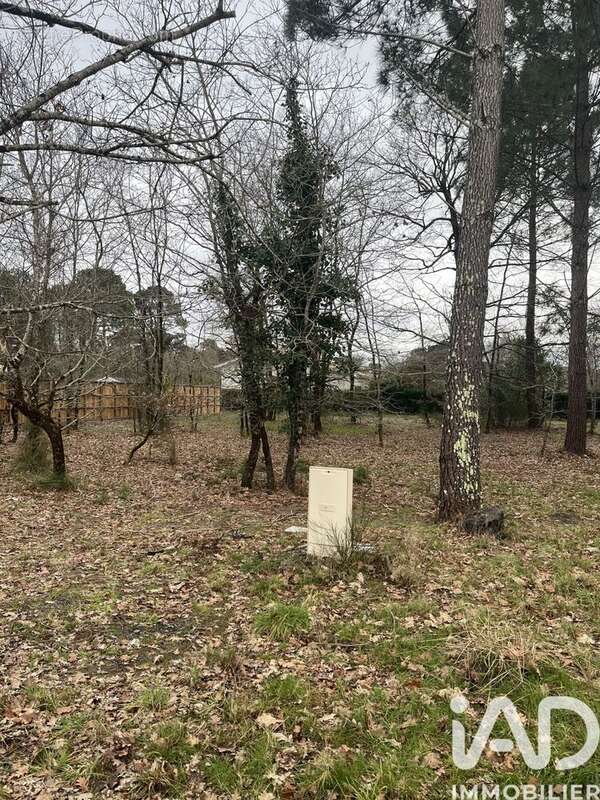 Photo 2 - Terrain à GUJAN-MESTRAS