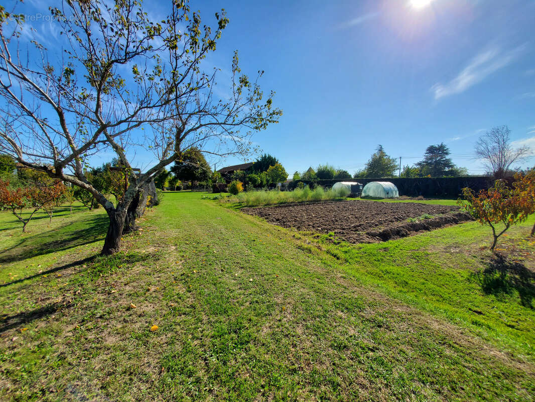 Maison à GRANGES-SUR-LOT