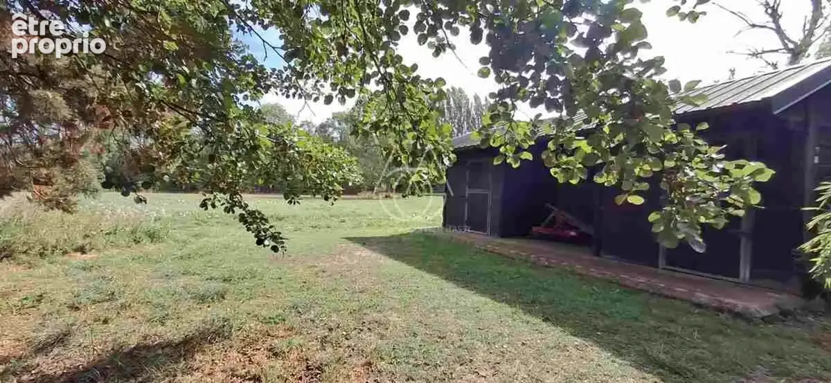 Entre Tours et Amboise, découvrez un moulin du XVIe siècle au cadre exceptionnel sur 3.4ha - photo 14