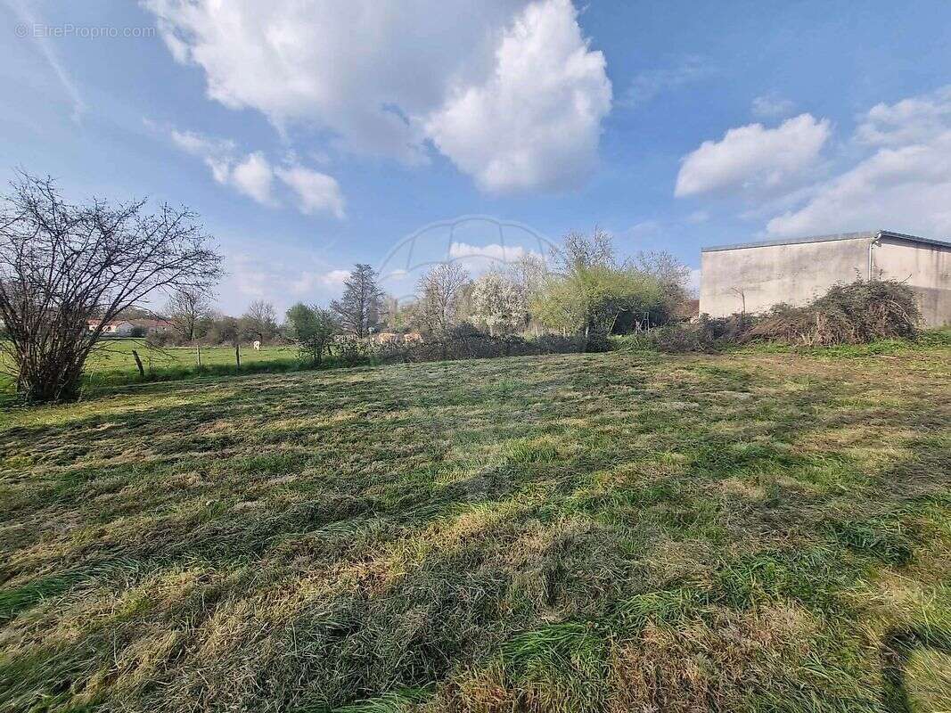 Maison 3 chambre(s) à vendre - photo 7