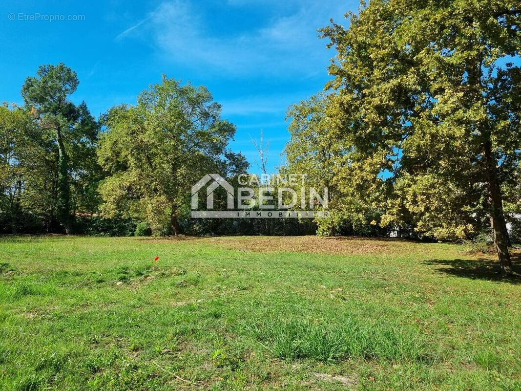 Terrain à SAINT-MEDARD-EN-JALLES