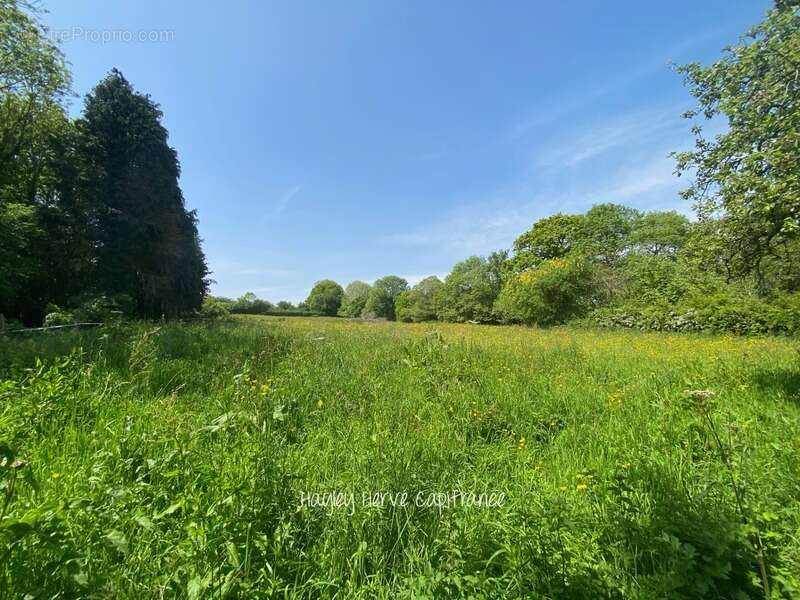 Dpt Calvados (14), à vendre proche de FEUGUEROLLES SUR SEULLES propriete P10 - photo 45