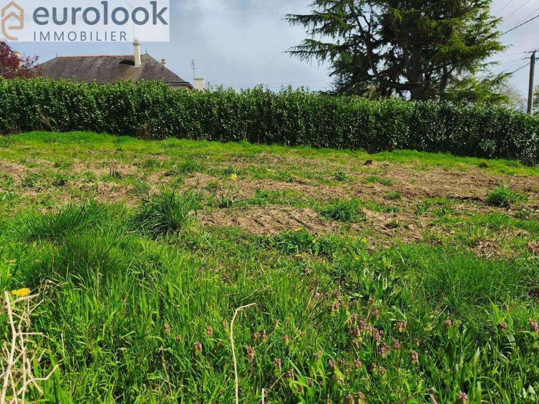 Terrain à MISSIRIAC