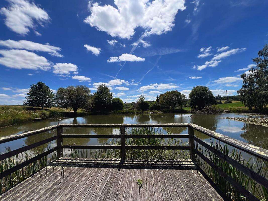Etang avec chalet 4 pièce(s) 35 m2 - photo 6