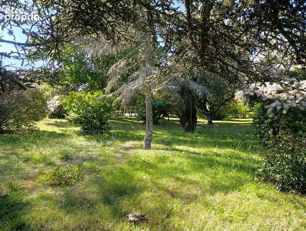 Terrain Vielle Saint Girons 641 m2 - photo 2