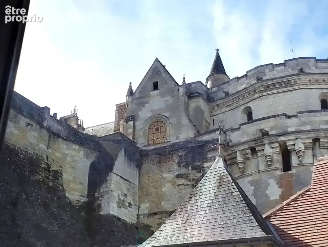 AMBOISE HYPER-CENTRE - Maison de caractère, 4 chambres, jardin - photo 14