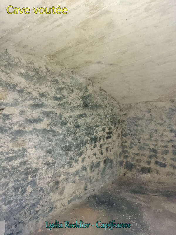 Maison de maître de 10 pièces avec terrain RARE à Thiers (63300) - photo 23