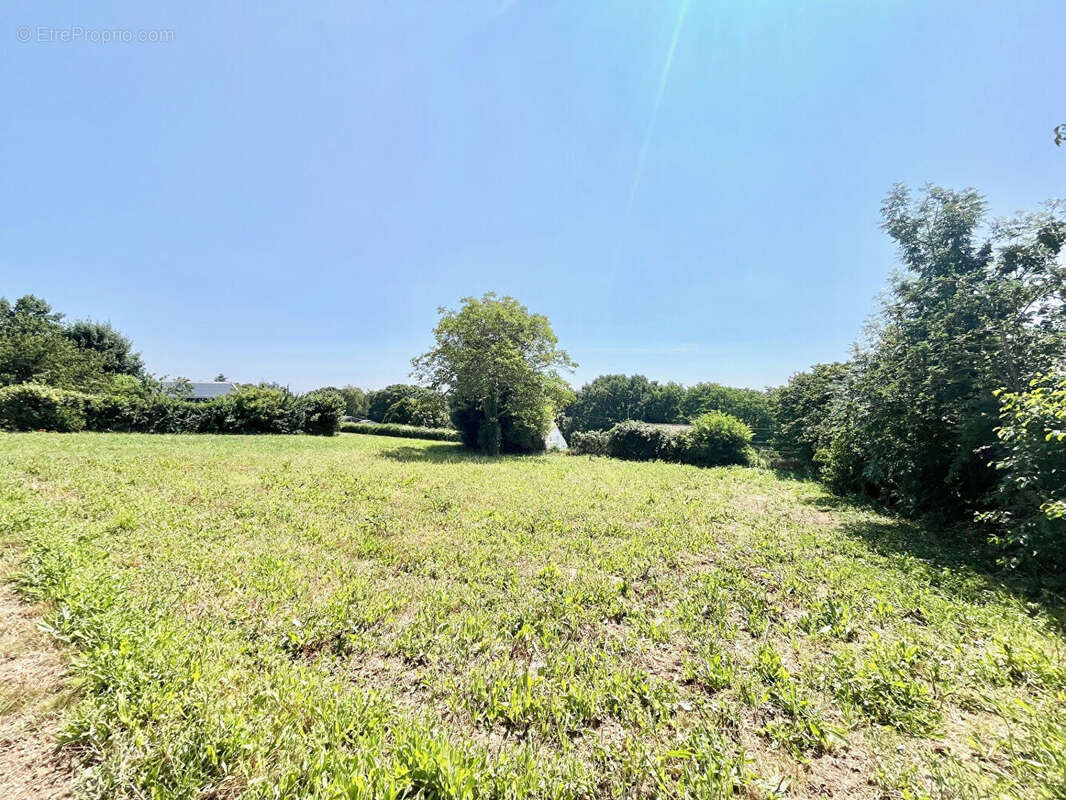 Terrain à vendre hors lotissement Laize Clinchamps 1127 m2 - photo 4