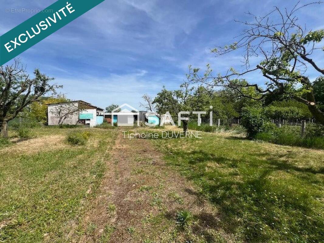 Photo 1 - Terrain à CHAGNY