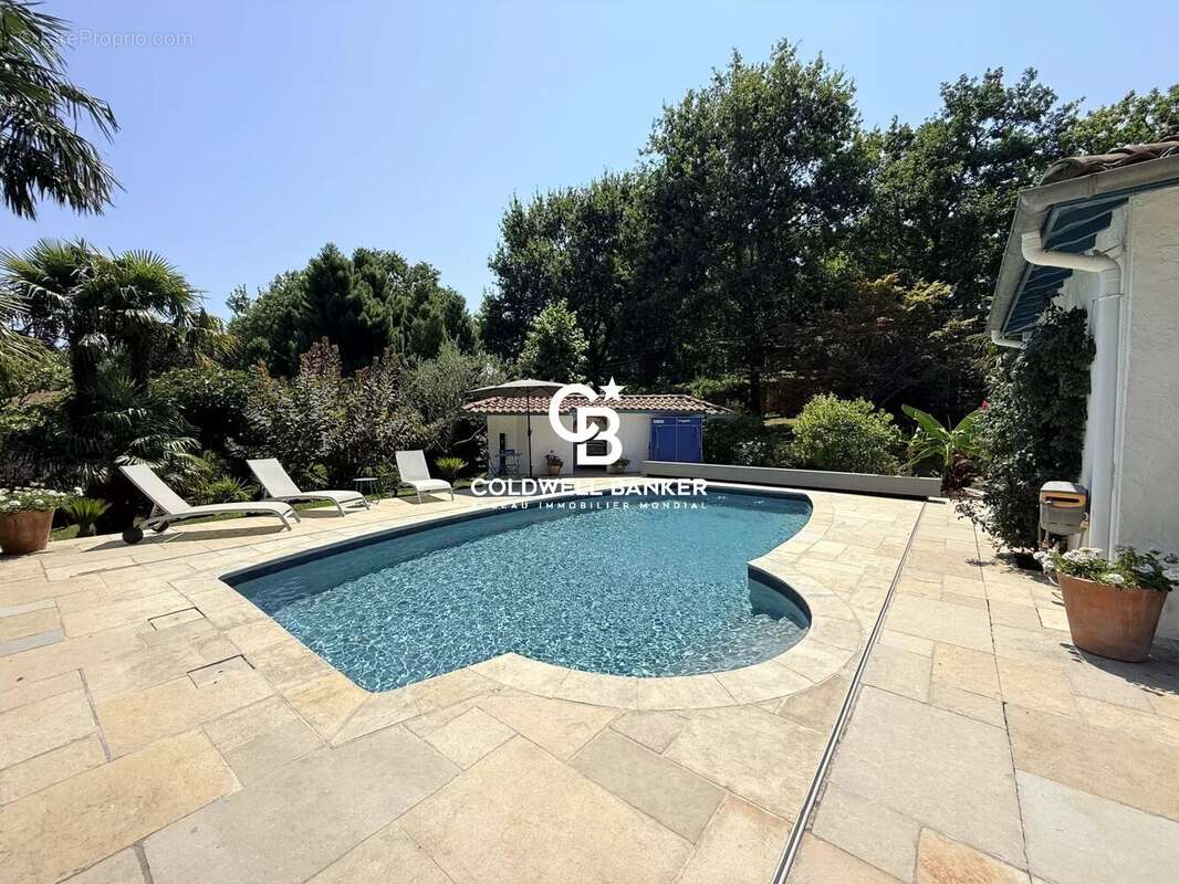 15 min de biarritz — propriété confidentielle dans un parc de 6 500 m² - photo 30