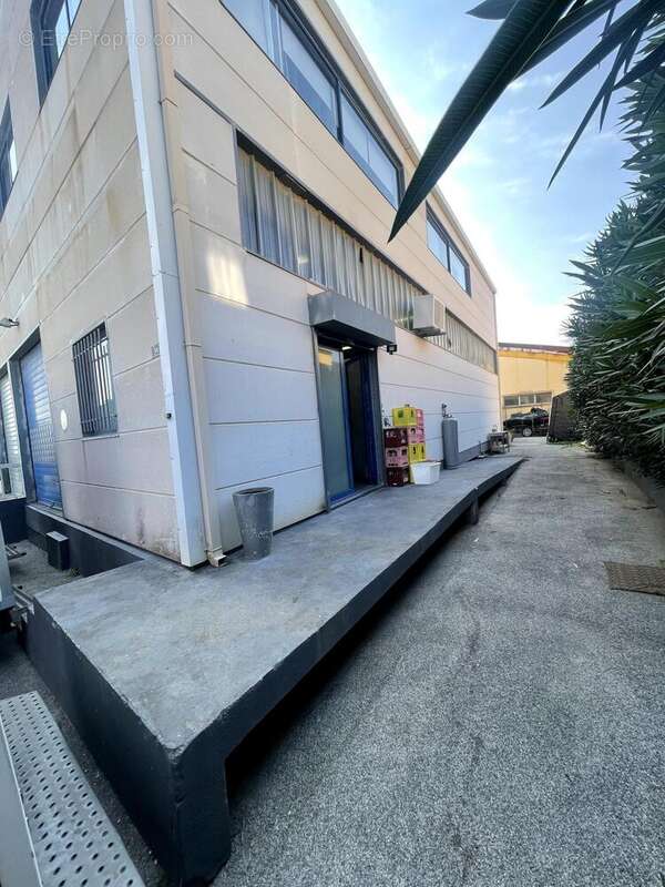 Photo 3 - Commerce à LE LAVANDOU